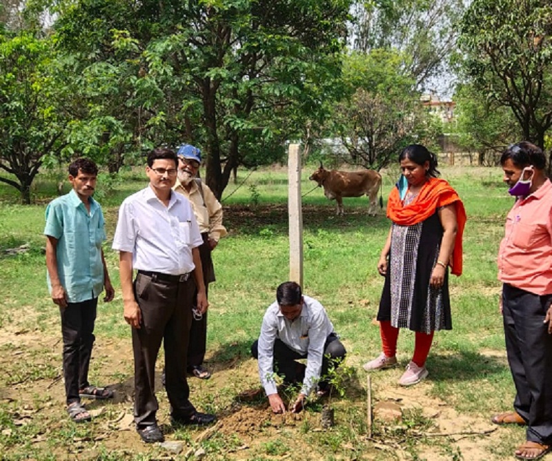 वृक्षारोपण के साथ की पर्यावरण की समस्याओं पर चर्चा ।